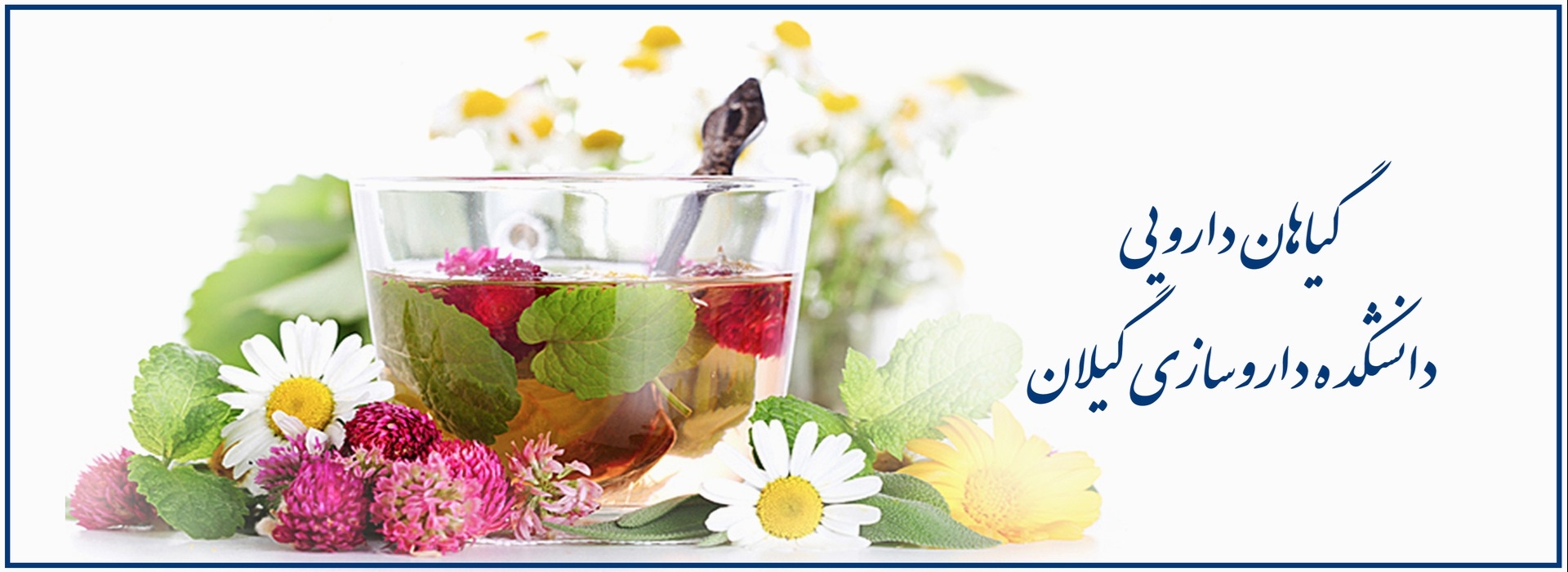 اسلایدر گیاهان دارویی